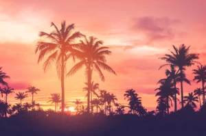 benefits-of-living-in-southern-california